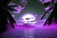 pic for Purple Sunset 